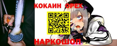 гашик Чебаркуль