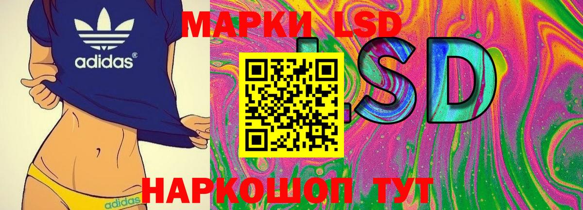 Губкин  Наркотические марки 1500мкг  Вход с VPN  Наркотические марки 1500мкг 