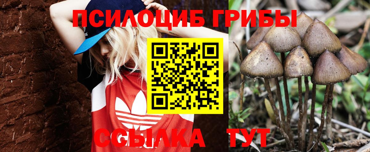Cocaine  ГАШ  Вход с VPN  Губкин  МЕФ кристаллы  Купить наркотики цена  Бошки Шишки 