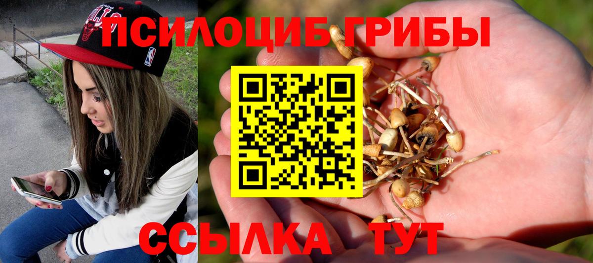 закладки  Вход с VPN  Губкин  Псилоцибиновые грибы ЛСД 
